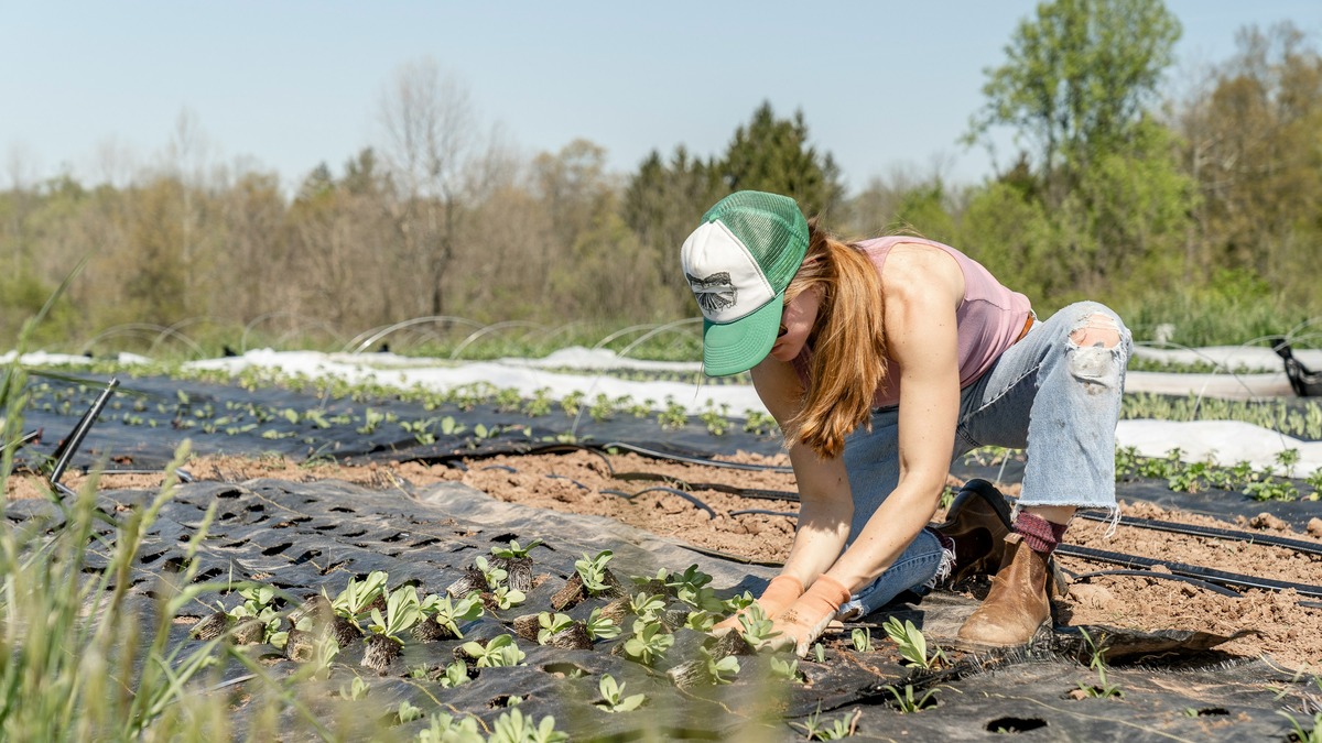 donna agricoltrice campo piantine lavoro